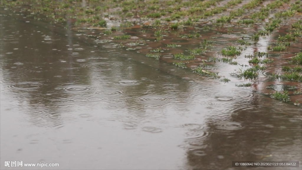 雨中公園