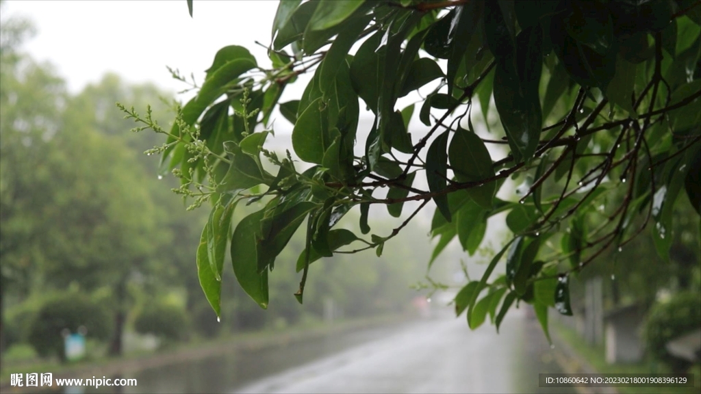 雨中公園