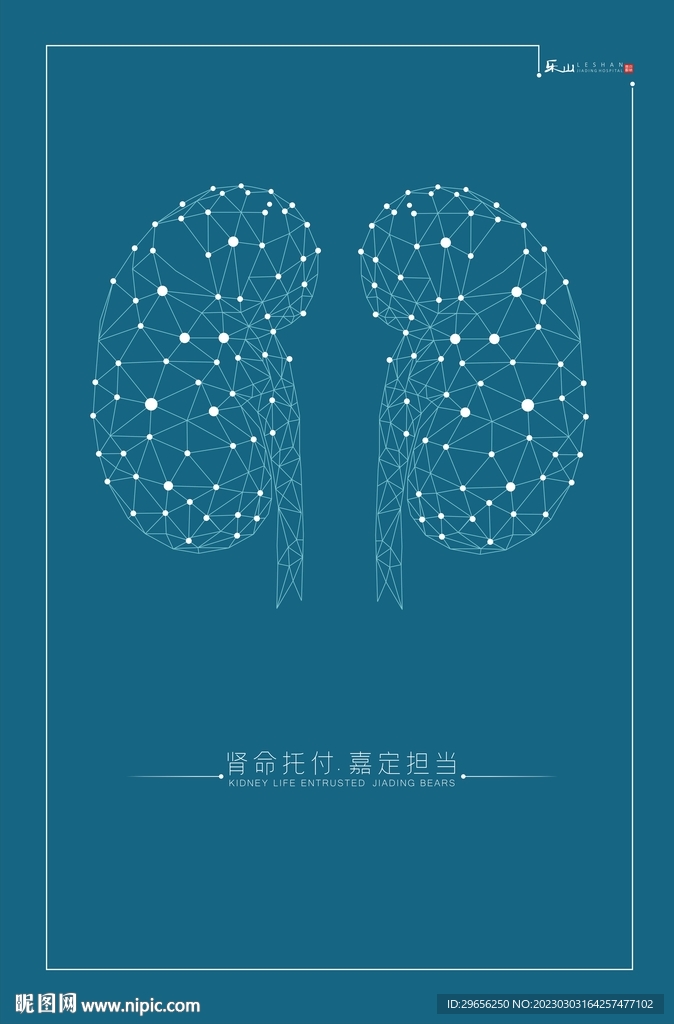 腎