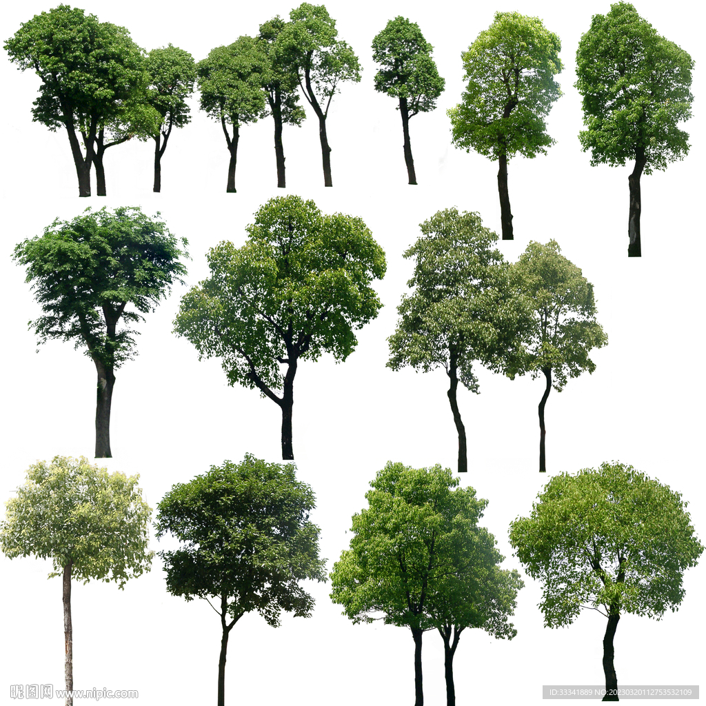 效果圖植物素材