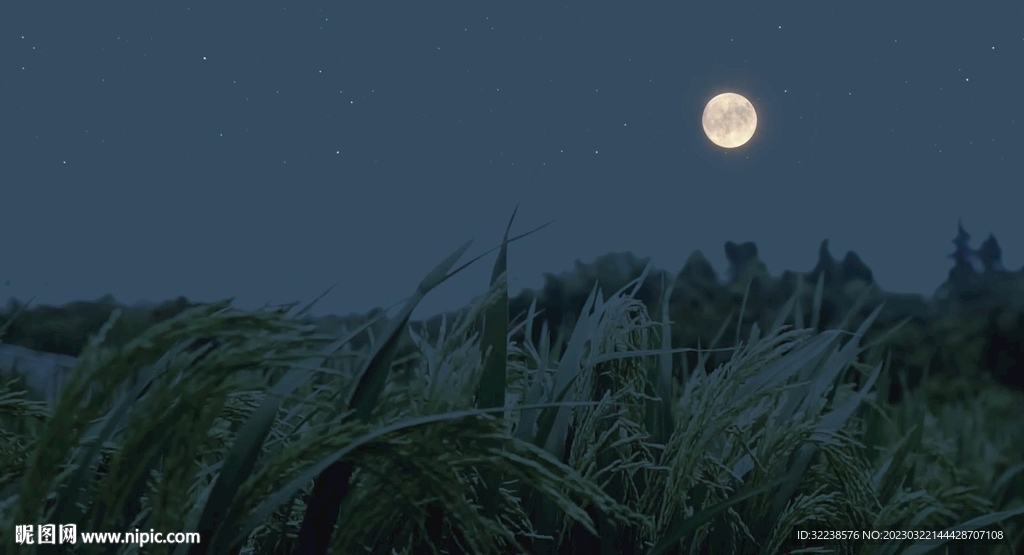 抖音夜景治愈系風景視頻壁紙