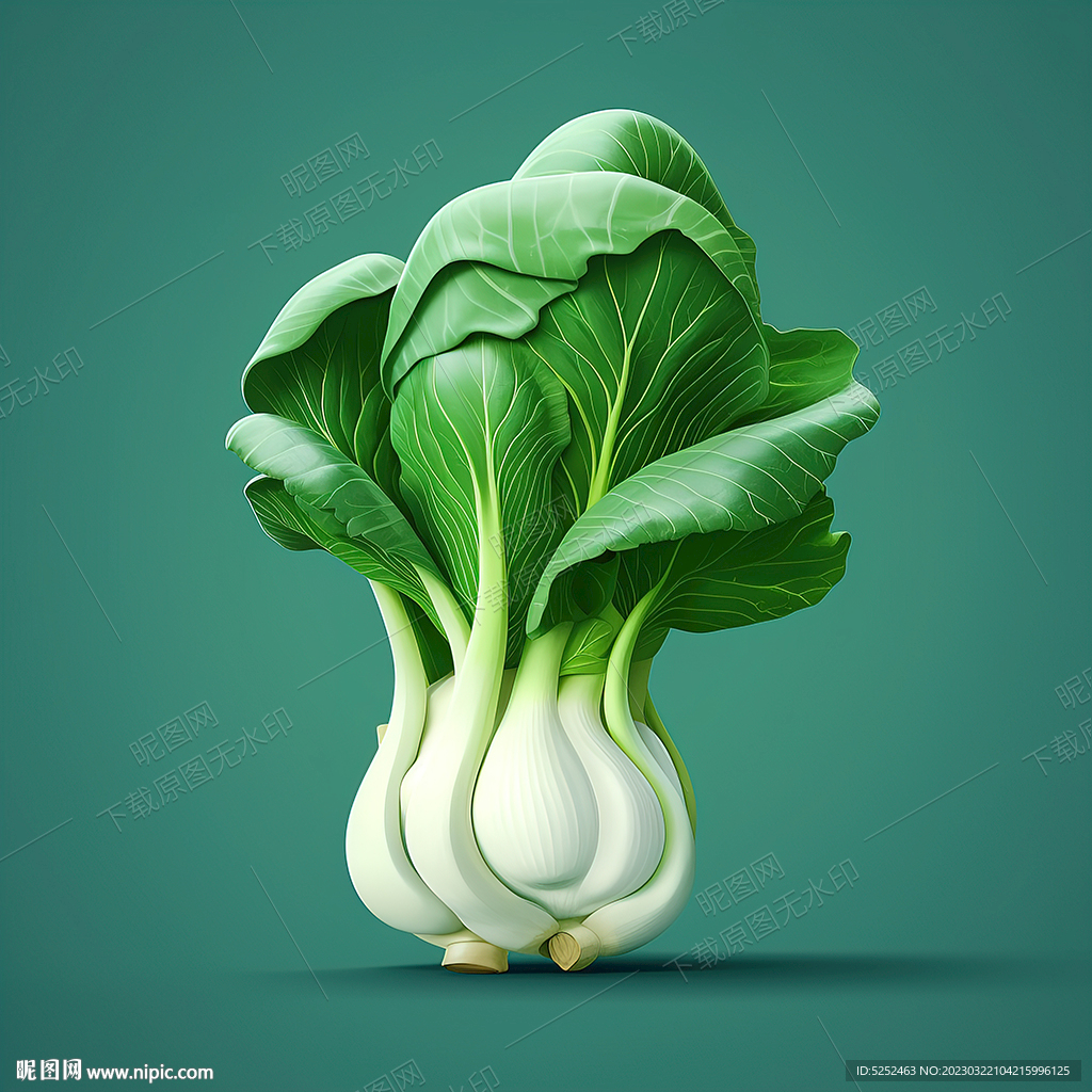 手繪油菜
