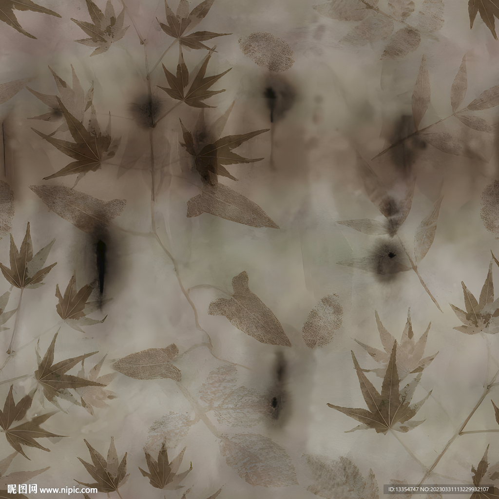 葉子  植物 