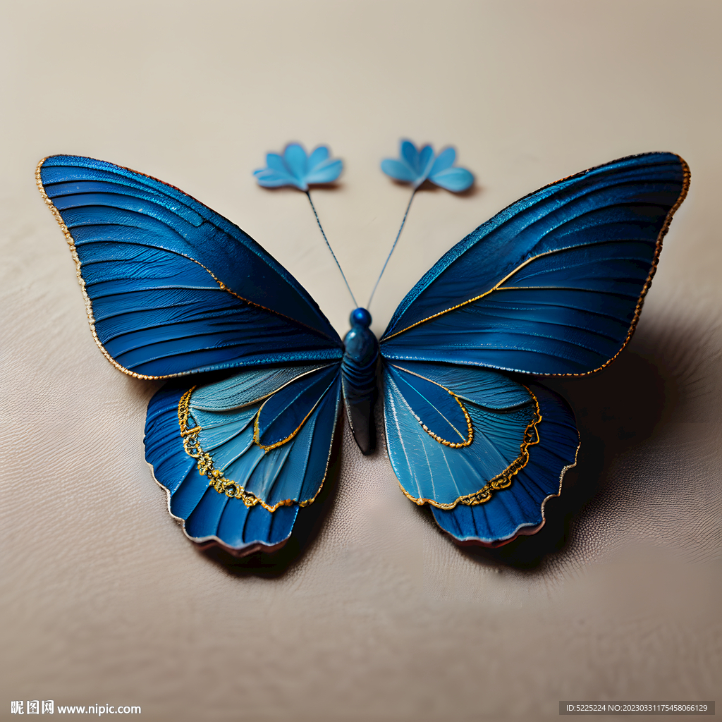 蝴蝶刺繡