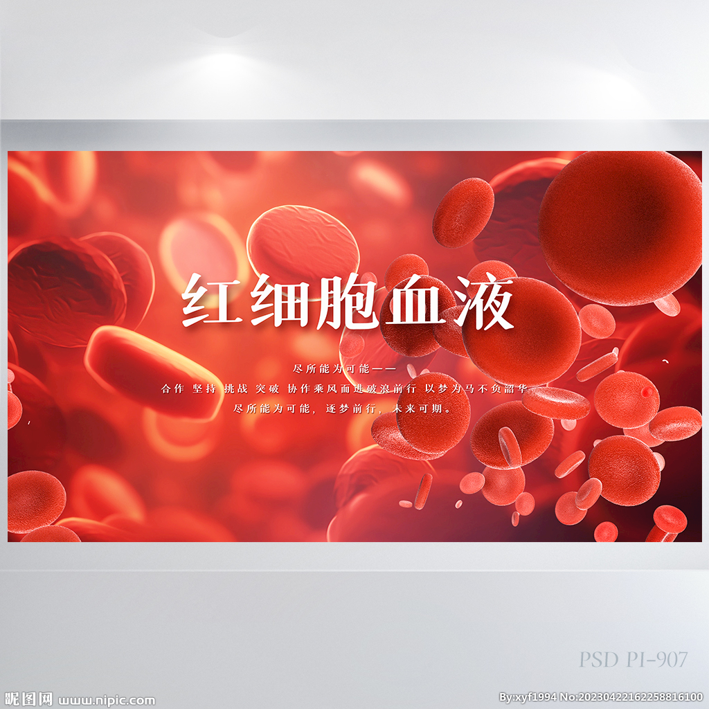 红色医疗红细胞血液检测展板海报