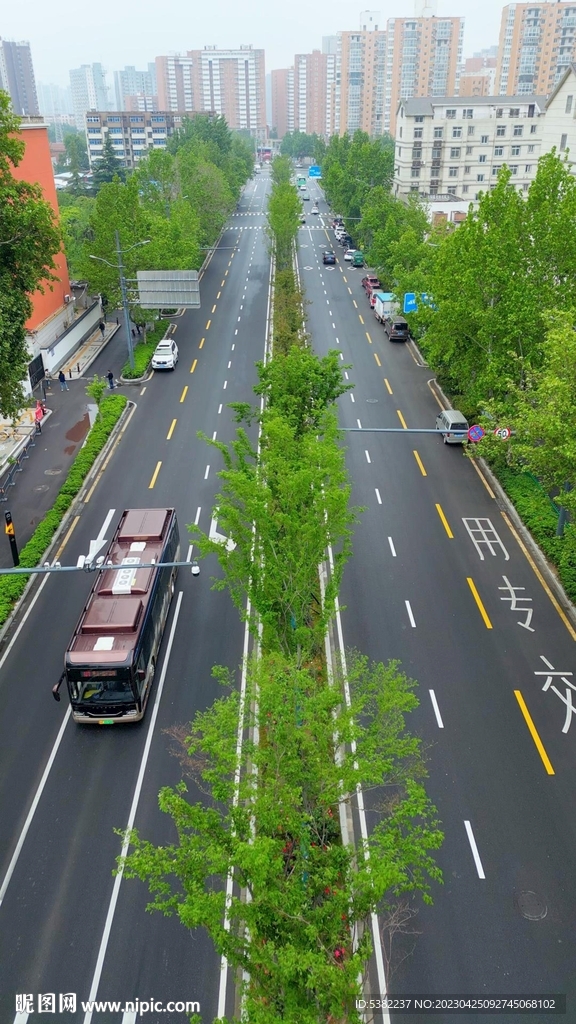 城市春天道路绿化航拍竖版视频