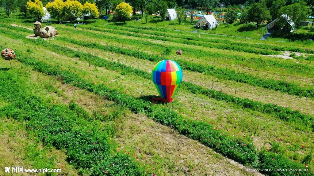 草坪彩色的气球高清视频