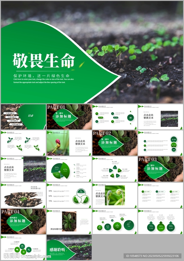 唯美植物生長敬畏生命植物ppt