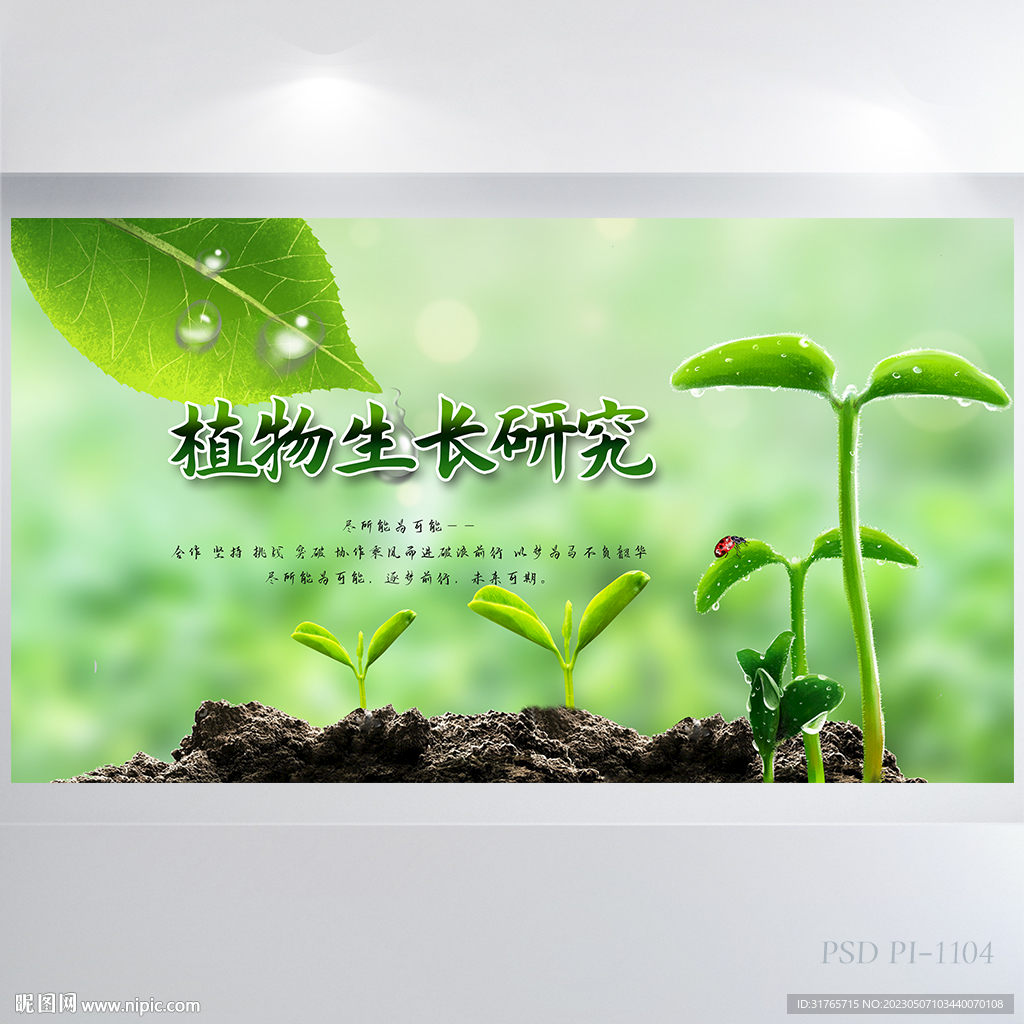 绿色清新植物生长研究海报展板