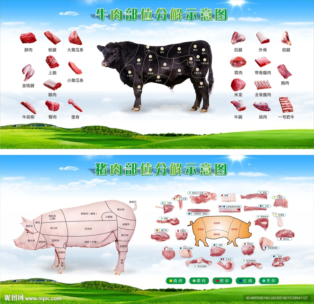 猪牛肉分割图