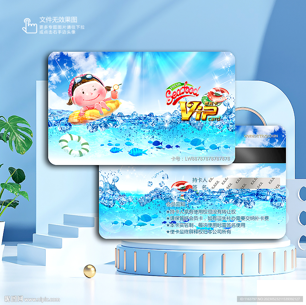 水上樂園 貴賓卡