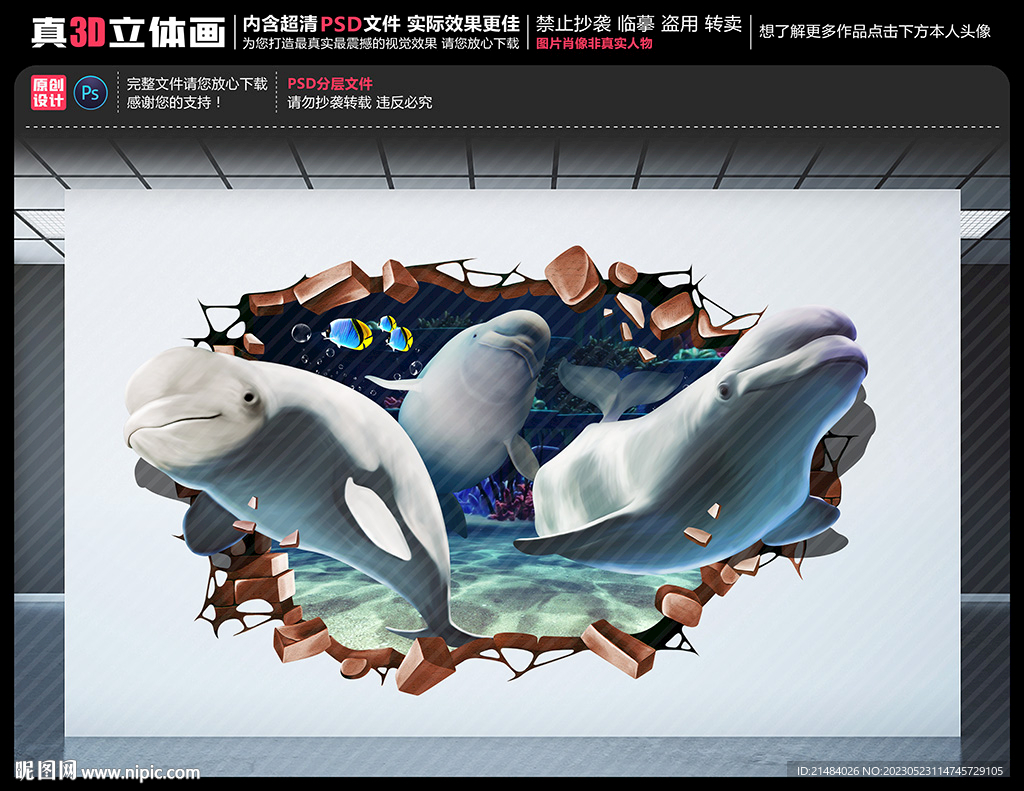 白鲸海底世界立体画