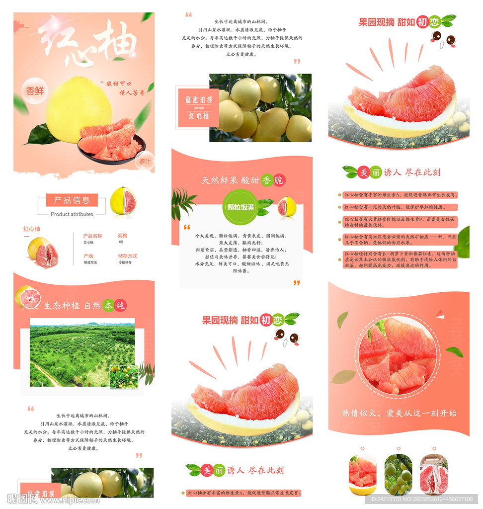 柚子海报 水果详情页