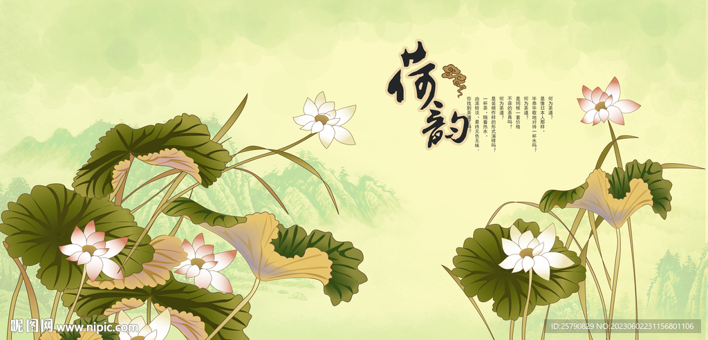 荷花手繪荷花