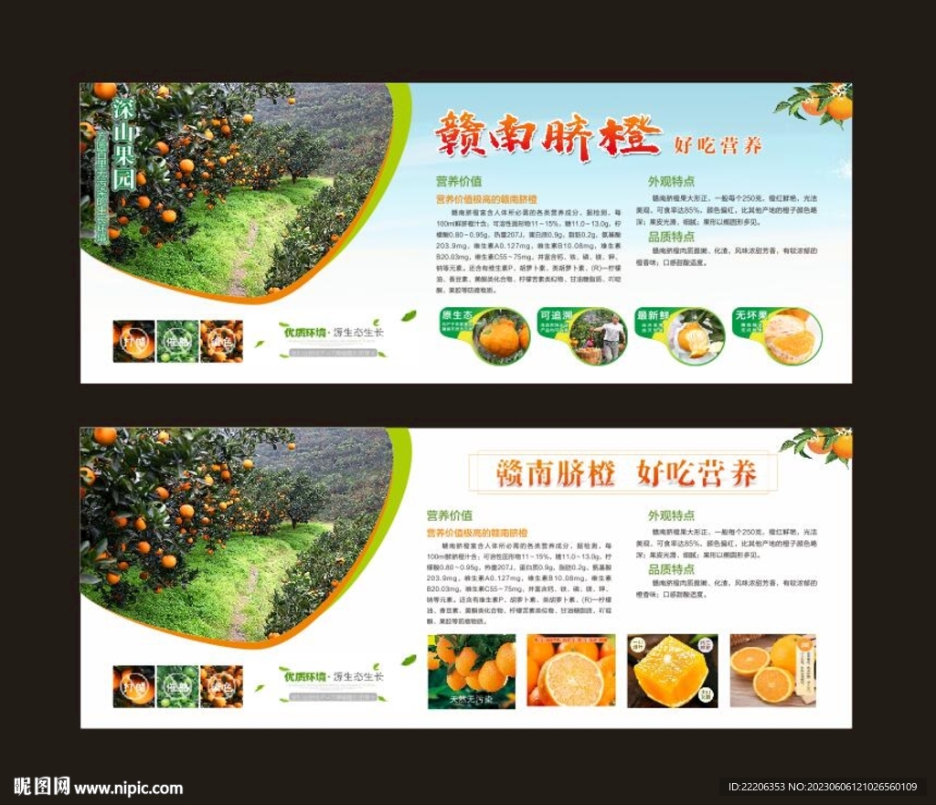 贛南臍橙