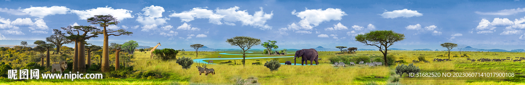非洲大草原背景