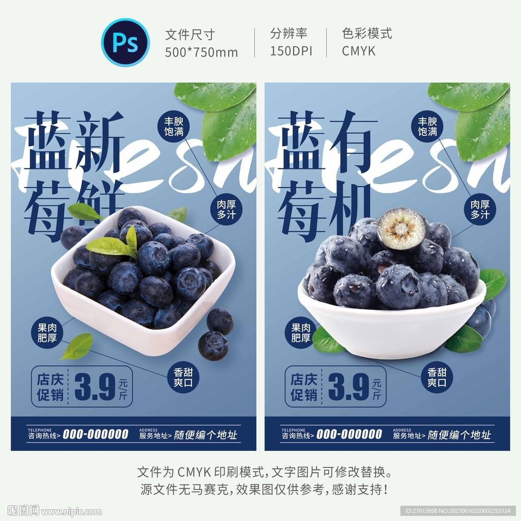 藍莓海報