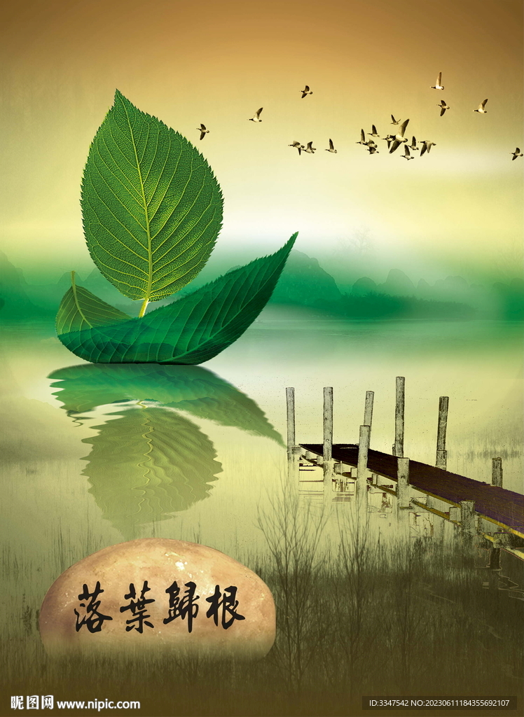 落葉歸根