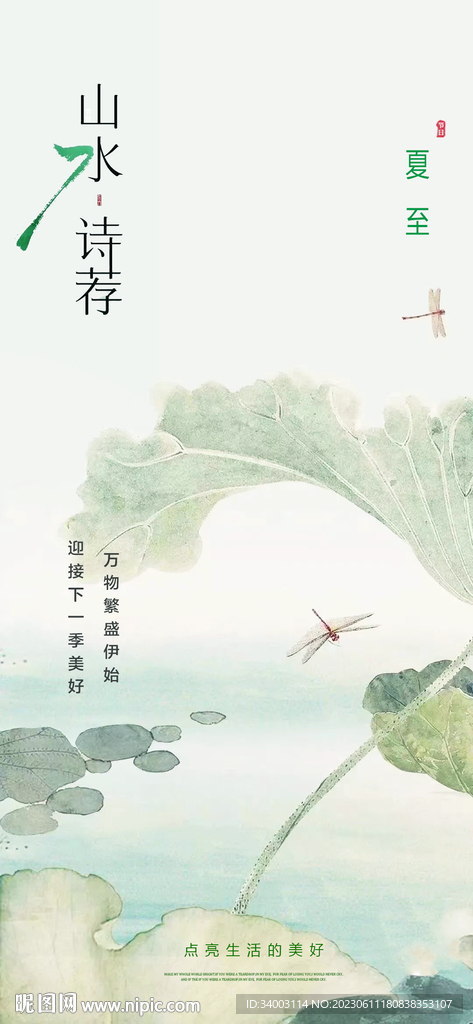 夏至 荷花