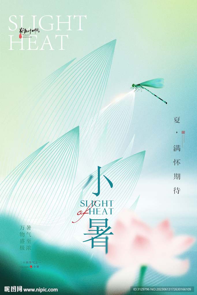 小暑節氣海報