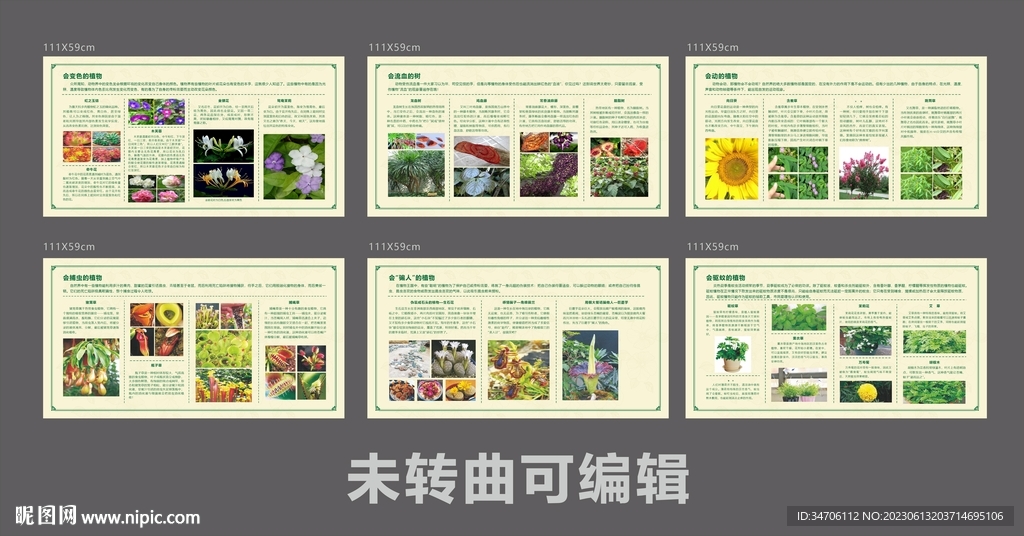 綠色東莞植物園動植物科普展板