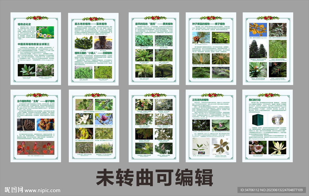 植物园植物科普画册