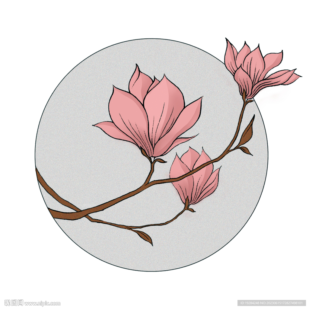玉蘭花