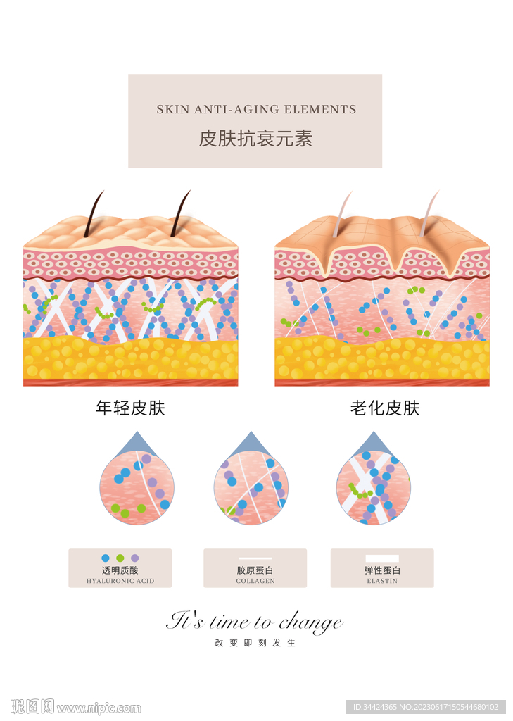 皮膚衰老