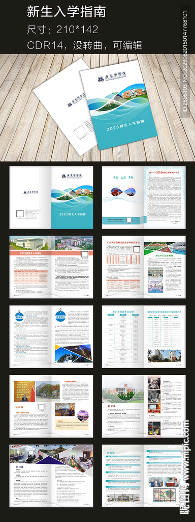 學校畫冊