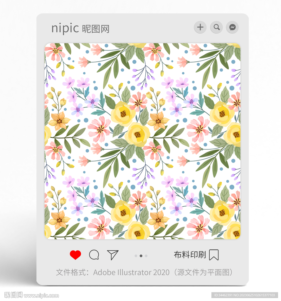 花朵花卉花紋 