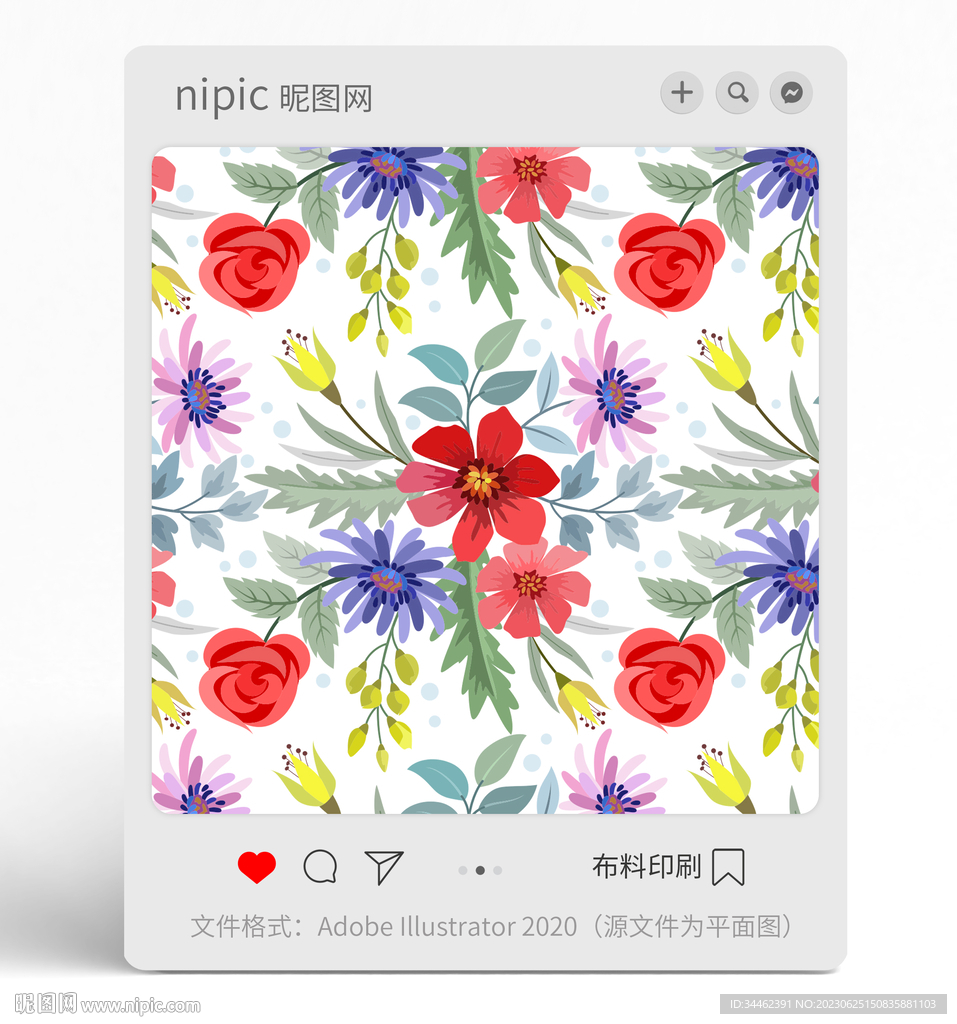 花朵花卉花紋
