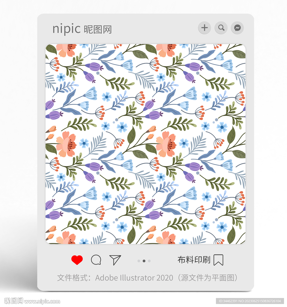 花朵花卉花紋 