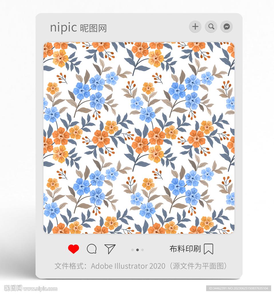 花朵花卉花紋 