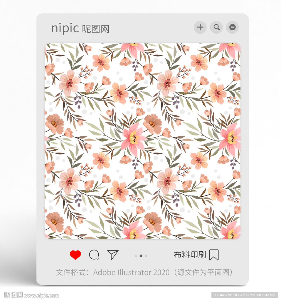 花朵花卉花紋 