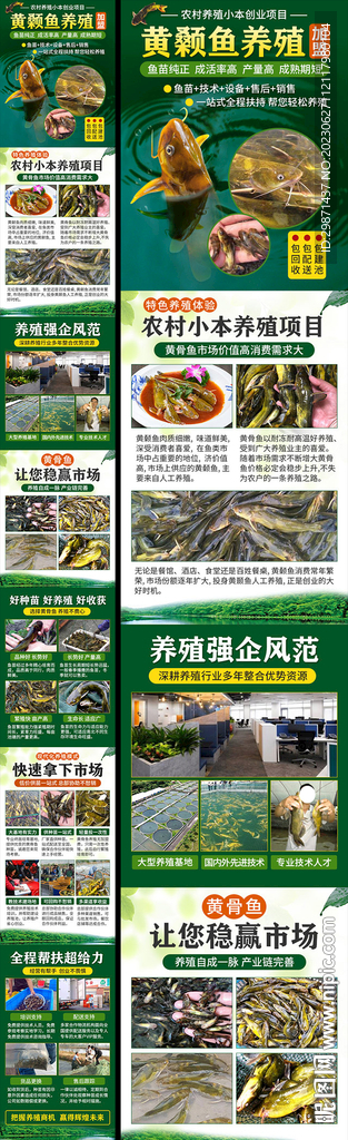 黃骨魚養殖
