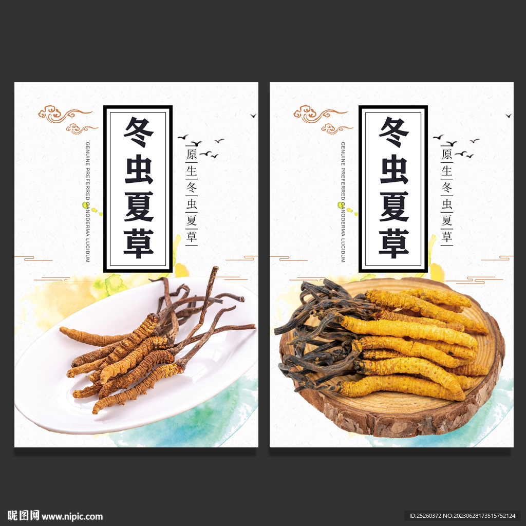冬蟲夏草