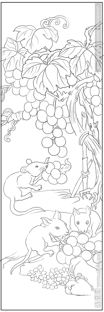 白描老鼠