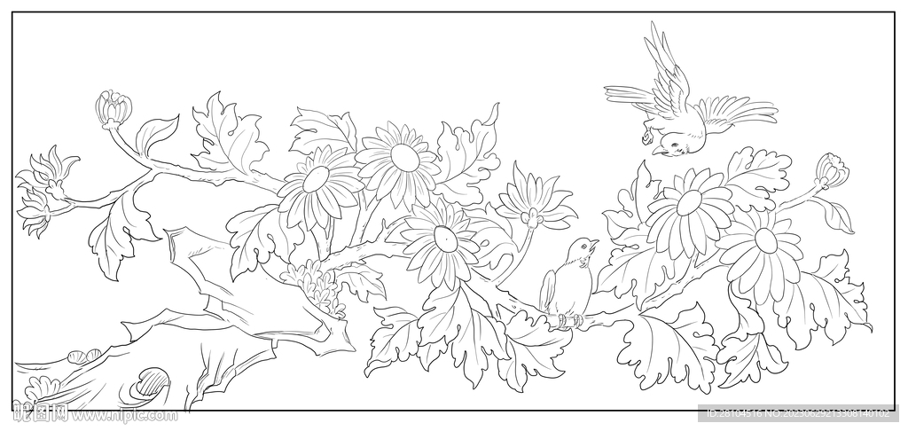 菊花 