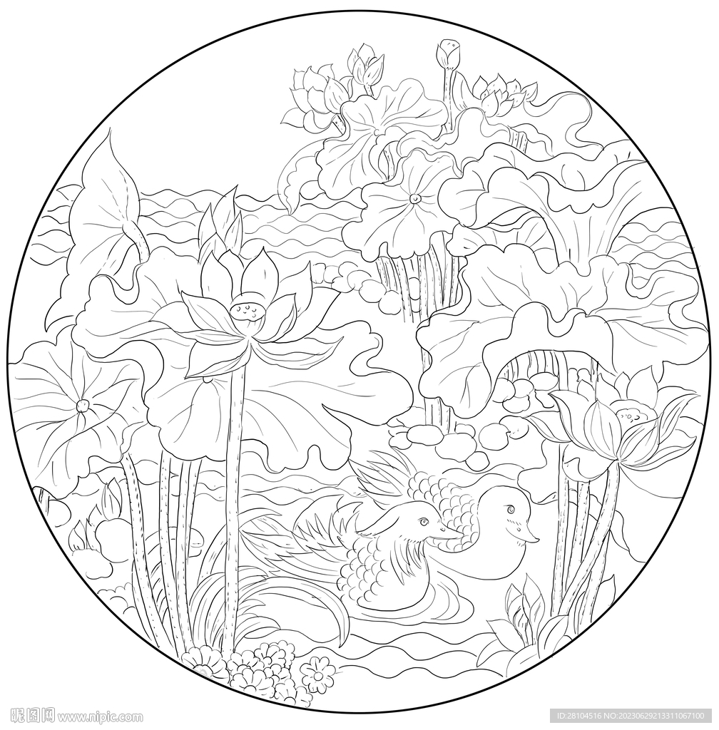 白描荷花 