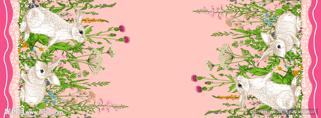 兔子 花