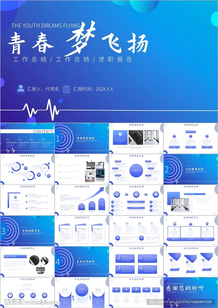 项目报告项目总结工作总结ppt