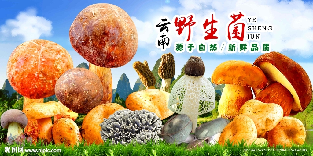 野生菌廣告