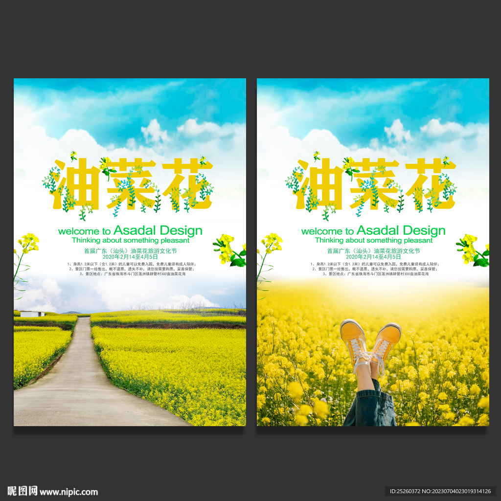 油菜花