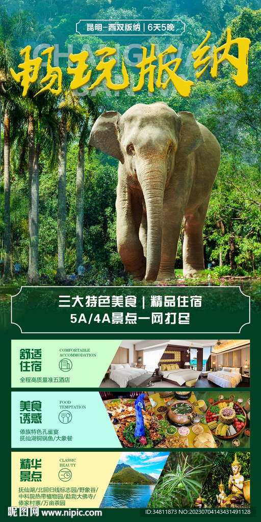 西雙版納 野象谷 旅游海報