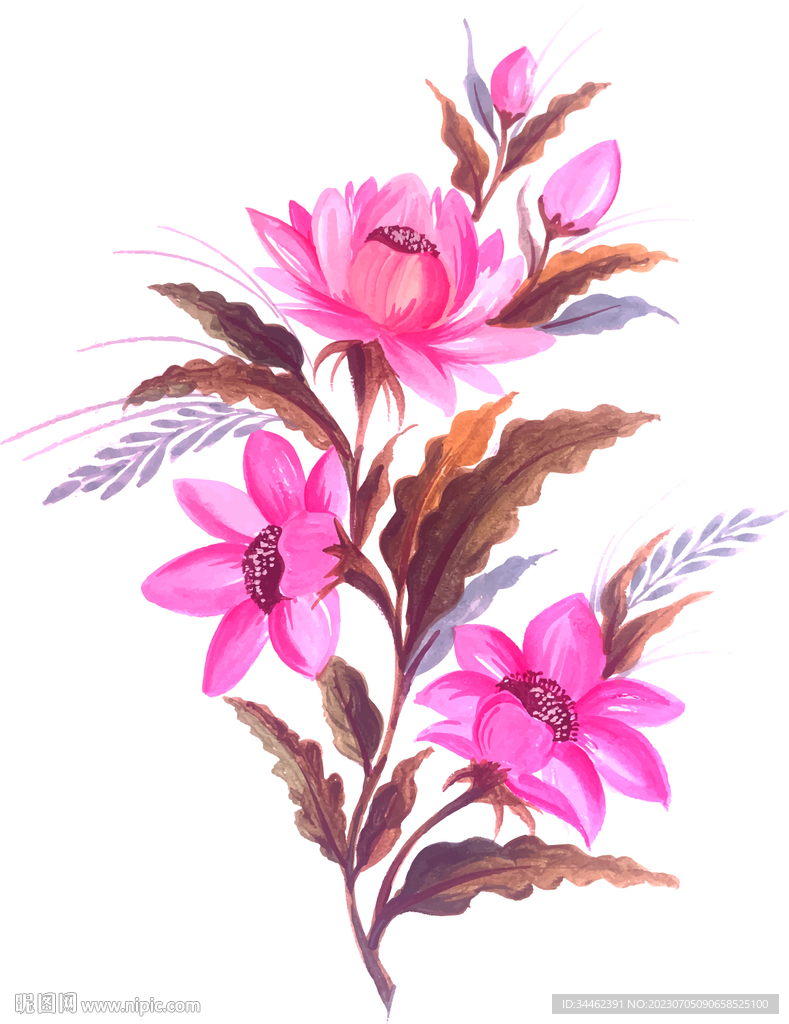 花朵花卉