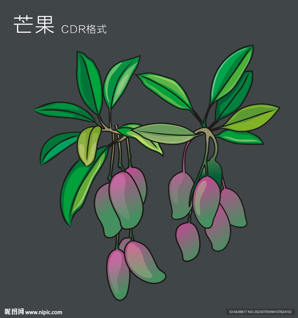 廣西水果 芒果