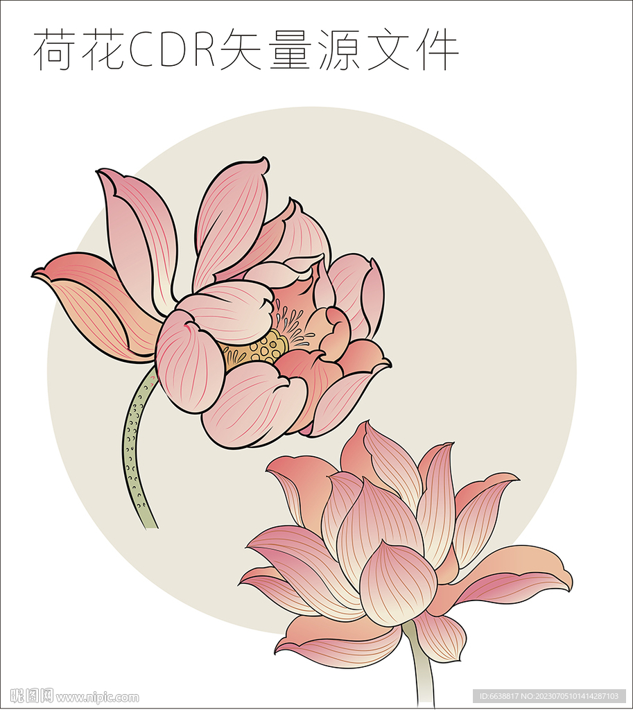 荷花 CDR