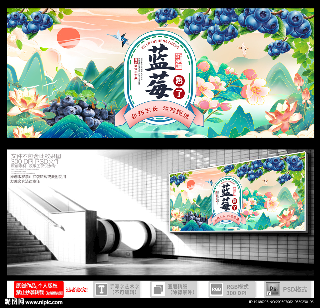 藍(lán)莓 