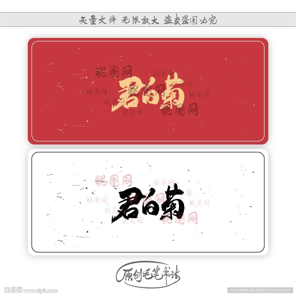 君白菊