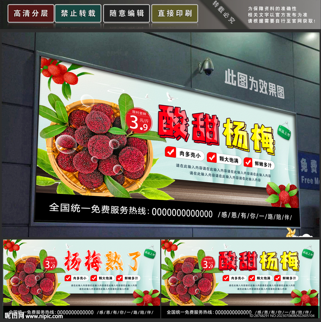 楊梅